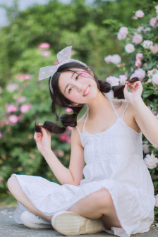 侠胆雄狮